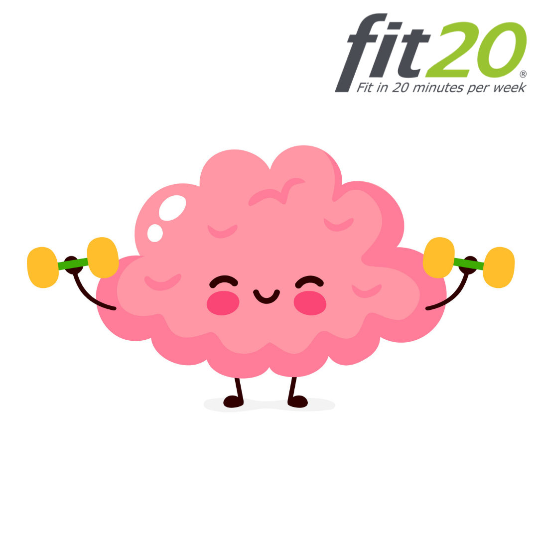 Individuelles Training mit Personal Trainer bei fit20